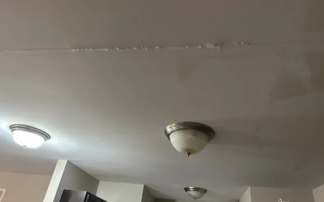 Ceiling Water Damage in a Torrance home