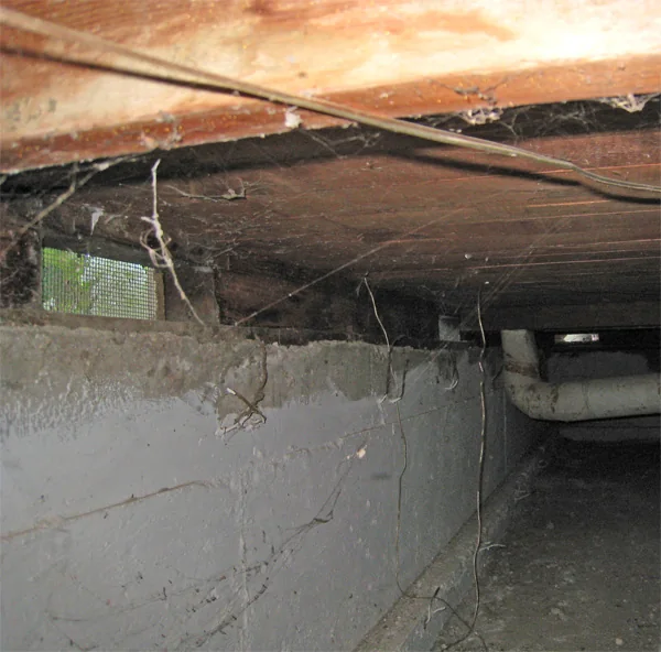 Crawlspace Water Removal in Lomita, California