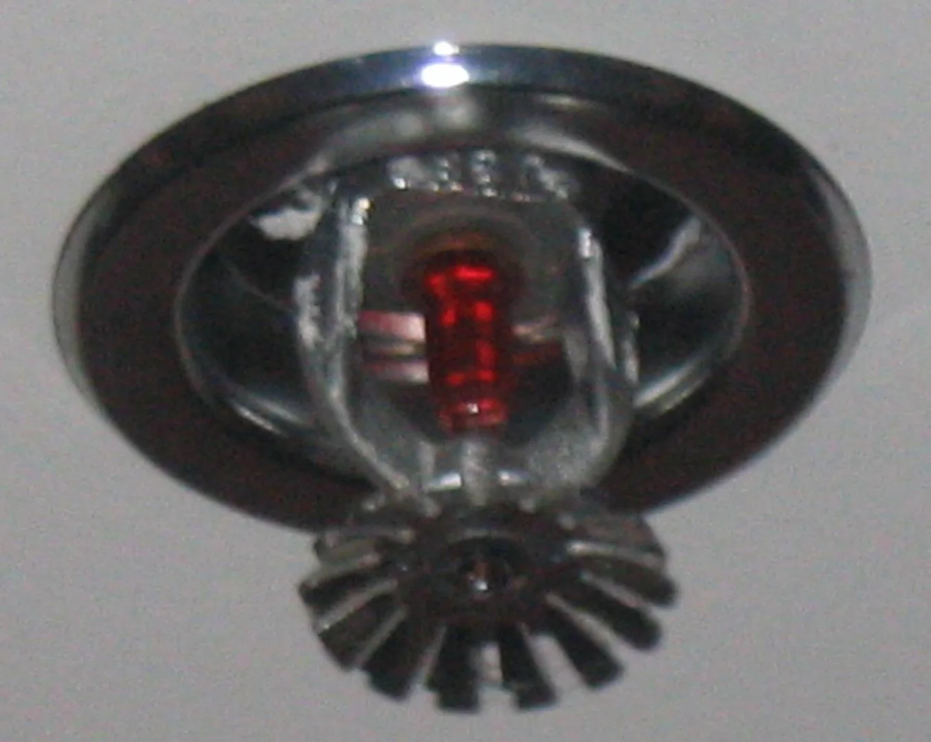 Fire Sprinkler Discharge in Rancho Palos Verdes, California