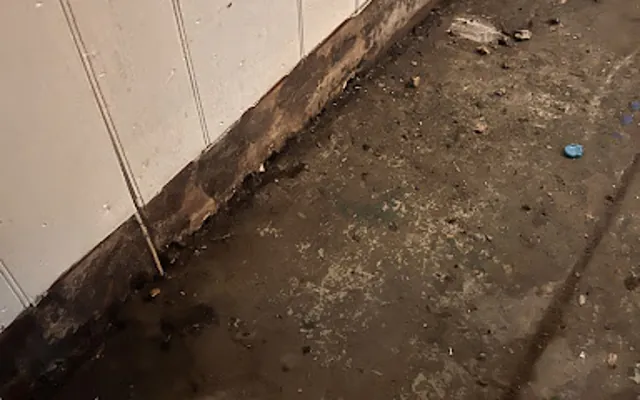 Toilet Overflow in Lawndale, California