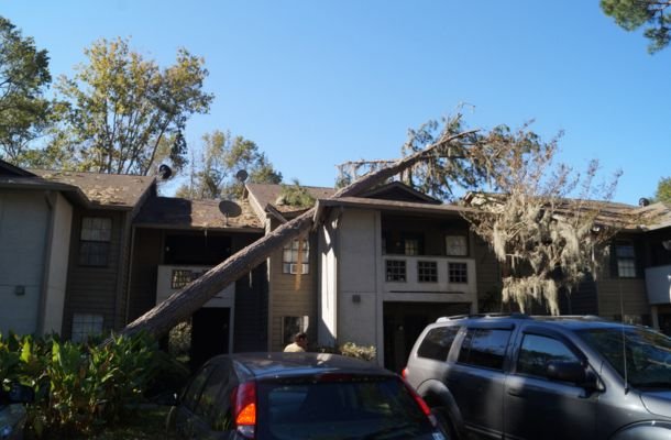 Storm Damage Restoration Torrance, California
